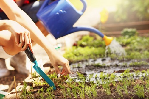 Lawn mowing in Forest Gate - well-maintained green lawn