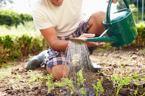 Professional tree lopping services in Forest Gate