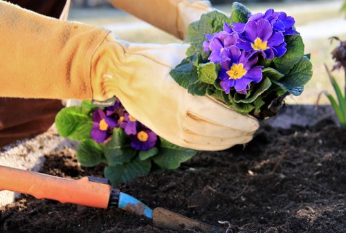 Gardener preparing soil with compost