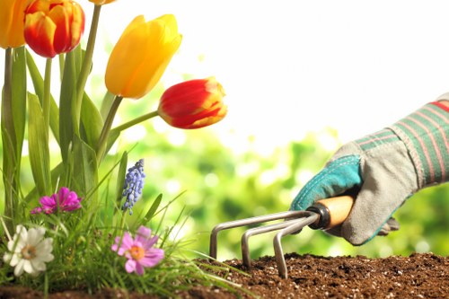 Essential tools for hedge trimming including shears and trimmers