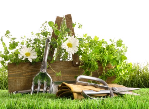 Garden clearance process steps