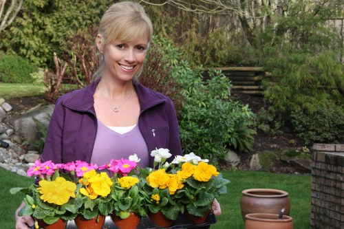 Designing a vibrant and thriving garden