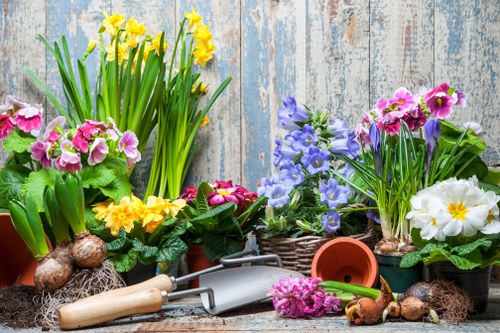 Eco-friendly tree service practices
